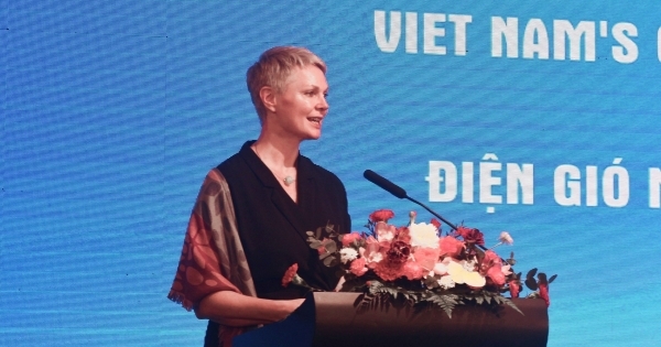 Cơ hội cho điện gió ngoài khơi Việt Nam