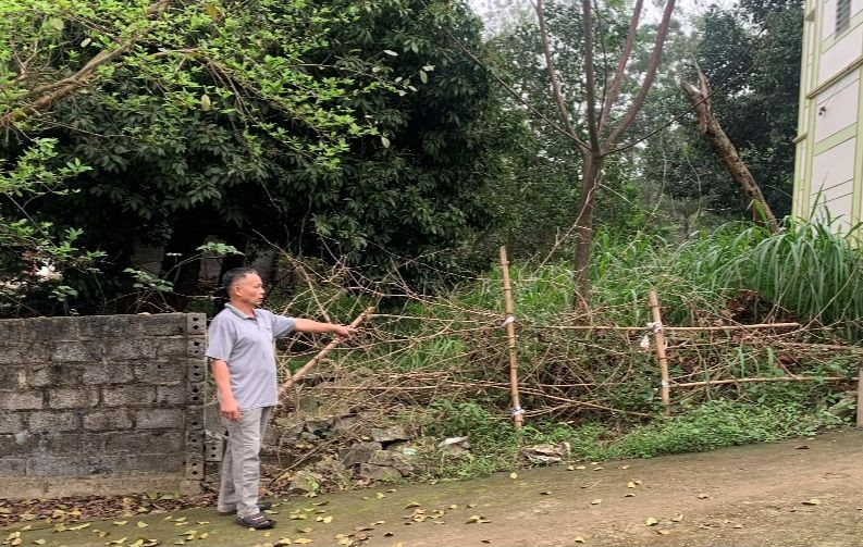 Con đường đi vào khu đồi Điệp hiện đang bị rào chắn, bịt kín.