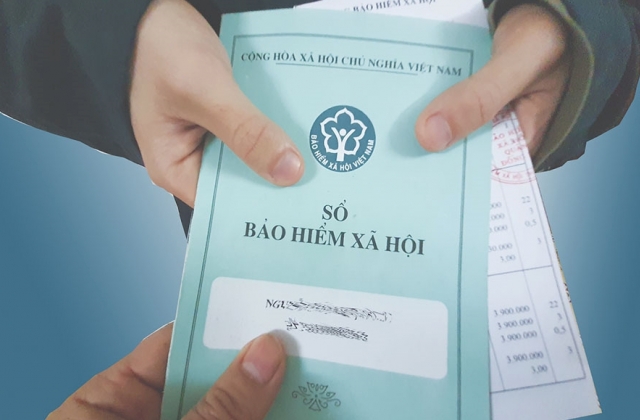 C&ocirc;ng ty Beta Proptech nợ hơn 240 triệu đồng tiền BHXH, BHYT