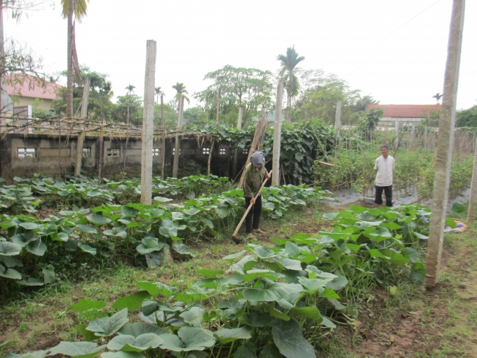 Người d&acirc;n x&atilde; T&acirc;n Đức thấy được những lợi &iacute;ch m&agrave; m&ocirc; h&igrave;nh n&agrave;y mang lại đặc biệt l&agrave; vấn đề sức khỏe. (ảnh: Thu Hường)&nbsp;