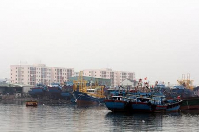 Ban chỉ huy tiền phương ti&ecirc;u thụ c&aacute; sạch của Đ&agrave; Nẵng đặt ở cảng c&aacute; Thọ Quang (Ảnh: Cao Th&aacute;i).