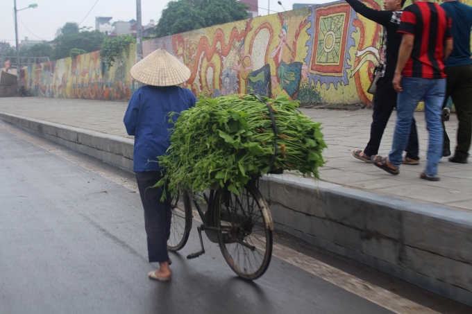 Chi&ecirc;́c xe đạp cũ kỹ chở đ&acirc;̀y rau của chị hàng rong tr&ecirc;n đường Y&ecirc;n Phụ