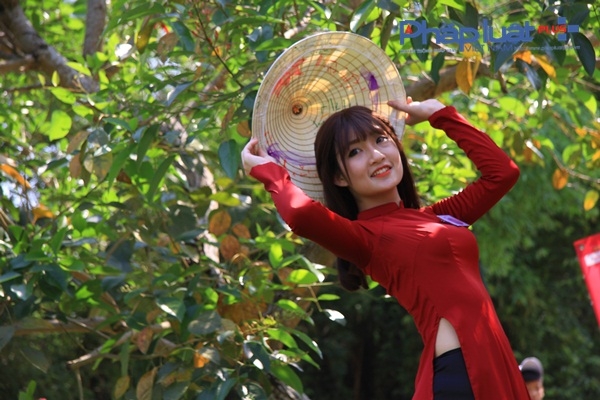 Th&iacute; sinh Nguyễn Dung.