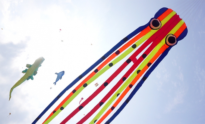 Một ch&uacute; mực sặc sỡ b&ecirc;n cạnh thằn lằn v&agrave; c&aacute; heo.