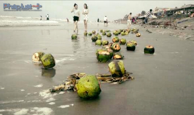 Rất nhiều du kh&aacute;ch