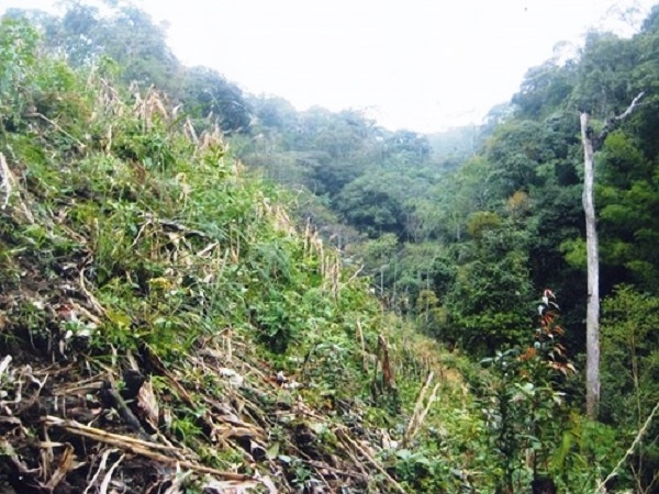 Khe n&uacute;i T&uacute;ng Qu&aacute;n L&igrave;n, nơi chiếc m&aacute;y bay đ&acirc;m xuống..