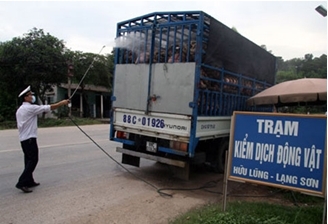 Tạm đình chỉ công tác 1 cán bộ mua bán giấy kiểm dịch vận chuyển động vật