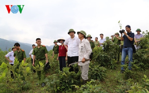 Theo phản &aacute;nh của người d&acirc;n địa phương, rừng ở khu vực n&agrave;y bị chặt ph&aacute; đ&atilde; nhiều năm nhưng kh&ocirc;ng bị ch&iacute;nh quyền ngăn cản.