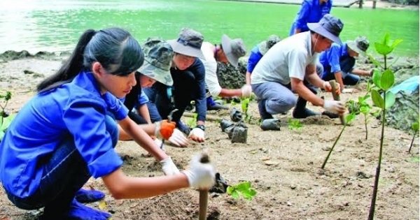 Ứng phó với biến đổi khí hậu: Không thể giải quyết triệt để nếu chỉ dùng tiền