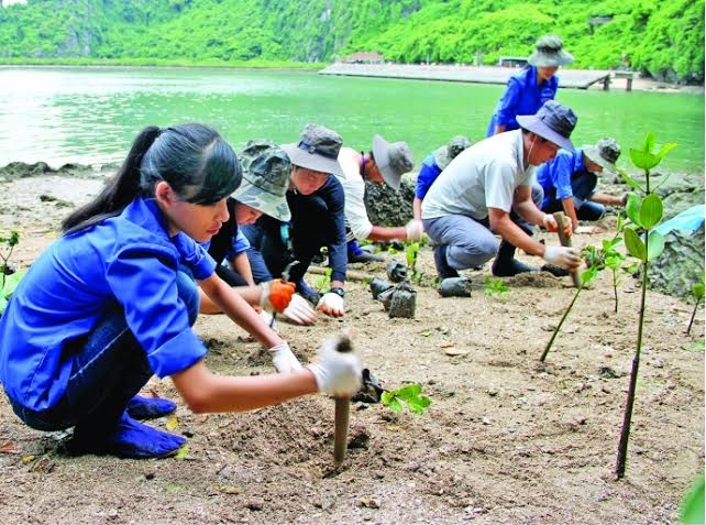 Ứng ph&oacute; với biến đổi kh&iacute; hậu: Kh&ocirc;ng thể giải quyết triệt để nếu chỉ d&ugrave;ng tiền