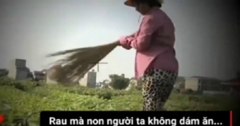 Xôn xao clip nông dân dùng chổi quét lên rau giả sâu ăn cho dễ bán
