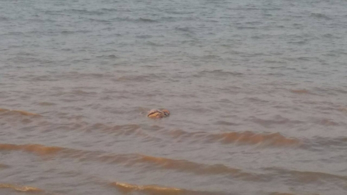 Thi thể người đ&agrave;n &ocirc;ng xấu số được ph&aacute;t hiện trong tư thế nằm sấp tr&ocirc;i dạt v&agrave;o bờ s&ocirc;ng Lam.