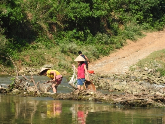 Trước t&igrave;nh trạng nhiều người d&acirc;n hai b&ecirc;n bờ s&ocirc;ng Bưởi đ&atilde; ra vớt c&aacute; chết, UBND x&atilde; Thạch L&acirc;m đ&atilde; khuyến c&aacute;o