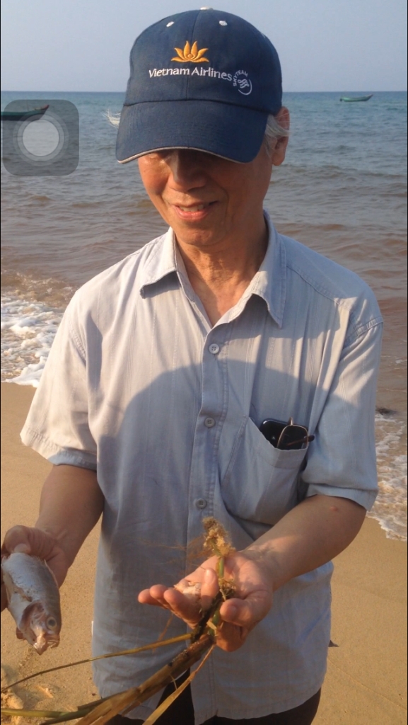 Gi&aacute;o sư,Tiến sĩ Dương Đức Tiến cho rằng c&oacute; chất lạ m&agrave;u hồng b&aacute;m trong mang c&aacute;, vỏ s&ograve; dạt v&agrave;o bờ (Ảnh: Văn Ba).