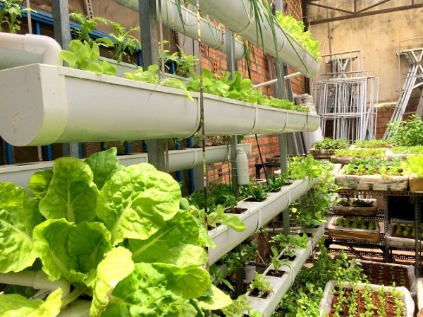 Tại đ&acirc;y, Bộ NN&amp;amp;amp;PTNT sẽ c&ocirc;ng bố những địa chỉ cung cấp sản phẩm n&ocirc;ng sản được kiểm so&aacute;t an to&agrave;n thực phẩm. Ảnh: minh họa