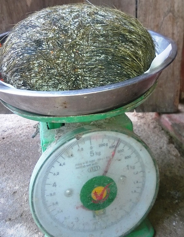 Vật lạ c&oacute; trọng lượng hơn 400g, lớp ngo&agrave;i c&oacute; l&ocirc;ng v&agrave; c&oacute; hương thơm của thuốc bắc.