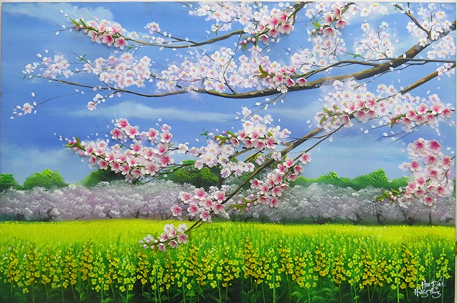 Hoa anh đ&agrave;o.