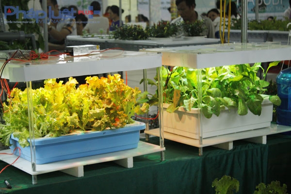 Một số m&ocirc; h&igrave;nh trồng rau sạch được trưng b&agrave;y tại buổi&nbsp;lễ giới thiệu &ldquo;N&ocirc;ng sản an to&agrave;n&rdquo;.