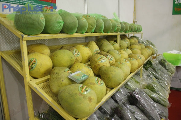 Người d&acirc;n Thủ đ&ocirc; t&igrave;m