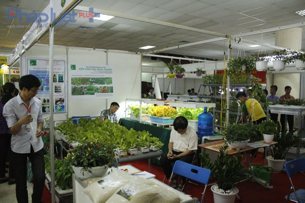 Người d&acirc;n Thủ đ&ocirc; t&igrave;m