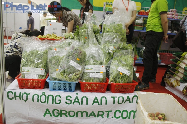 Người d&acirc;n Thủ đ&ocirc; t&igrave;m