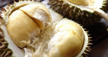 Cách lựa chọn Sầu Riêng không sử dụng chất ép chín, chất bảo quản