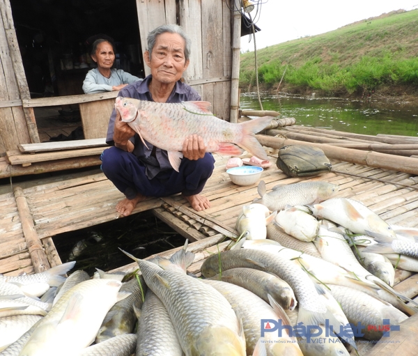 Nỗi buồn lộ r&otilde; tr&ecirc;n từng khu&ocirc;n mặt của những người d&acirc;n nu&ocirc;i c&aacute; lồng x&atilde; Th&agrave;nh Vinh.
