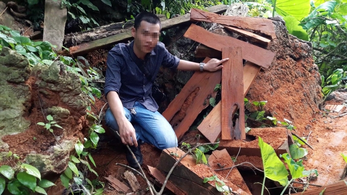 HOT: Th&acirc;m nhập đại c&ocirc;ng trường được l&acirc;m tặc dựng l&ecirc;n để ăn cắp gỗ qu&iacute; tại Na R&igrave; - Bắc Kạn