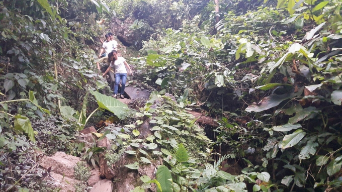 HOT: Th&acirc;m nhập đại c&ocirc;ng trường được l&acirc;m tặc dựng l&ecirc;n để ăn cắp gỗ qu&iacute; tại Na R&igrave; - Bắc Kạn