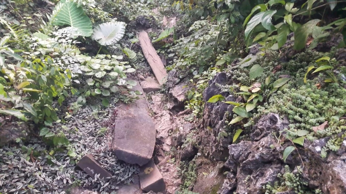 Con đường dẫn v&agrave;o khu rừng trải đầy gỗ.