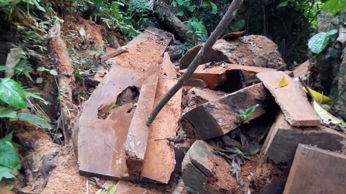 HOT: Th&acirc;m nhập đại c&ocirc;ng trường được l&acirc;m tặc dựng l&ecirc;n để ăn cắp gỗ qu&iacute; tại Na R&igrave; - Bắc Kạn