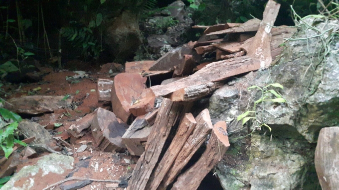 Những vết cắt v&agrave; m&ugrave;n chưa c&ograve;n rất mới.