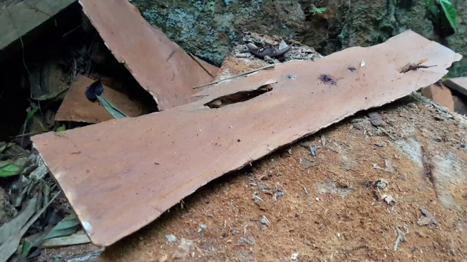 HOT: Th&acirc;m nhập đại c&ocirc;ng trường được l&acirc;m tặc dựng l&ecirc;n để ăn cắp gỗ qu&iacute; tại Na R&igrave; - Bắc Kạn