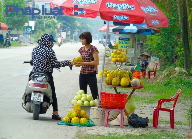 Về Ninh B&igrave;nh v&agrave;o những ng&agrave;y h&egrave; th&aacute;ng 5 n&oacute;ng nực, dọc c&aacute;c tuyến đường đ&acirc;u đ&acirc;u cũng rực sắc v&agrave;ng dưa bở, ai đi qua cũng tranh thủ gh&eacute; v&agrave;o mua một v&agrave;i c&acirc;n dưa về cho gia đ&igrave;nh n&ecirc;n dưa l&uacute;c n&agrave;o cũng đắt h&agrave;ng.