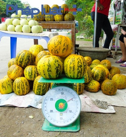 Đầu m&ugrave;a, c&aacute;c hộ kinh doanh b&aacute;n cho kh&aacute;ch h&agrave;ng với gi&aacute; khoảng 10 - 15.000 đồng/kg .