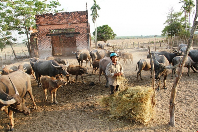 B&iacute; thư Thăng: 'C&aacute;c &ocirc;ng thử chui v&agrave;o nh&agrave; d&acirc;n xem c&oacute; ở được kh&ocirc;ng?'