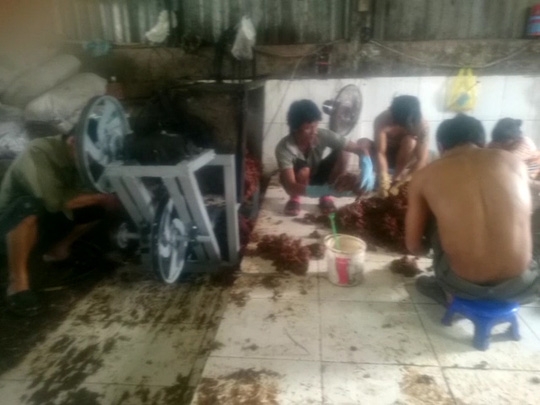 Nh&acirc;n vi&ecirc;n cởi trần, d&ugrave;ng tay trần sơ chế me, thậm ch&iacute; gi&agrave;y d&eacute;p cũng v&ocirc; tư mang v&agrave;o dẫm đạp l&ecirc;n me.