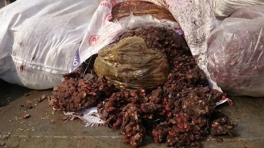 Nhiều bao me đ&atilde; hư hỏng, v&oacute;n cục.