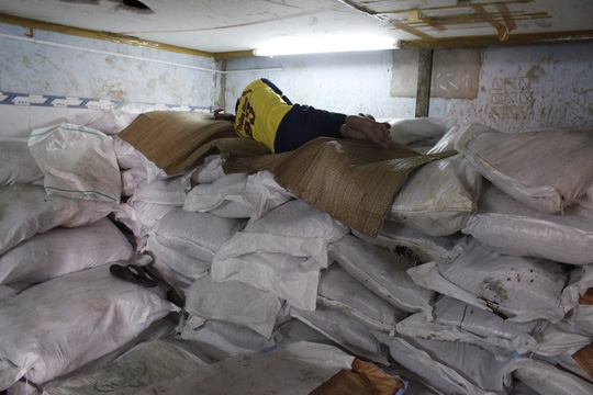 B&ecirc;n trong kho chứa me, nh&acirc;n vi&ecirc;n dẫm đạp, trải chiếu ngủ tr&ecirc;n me nguy&ecirc;n liệu.