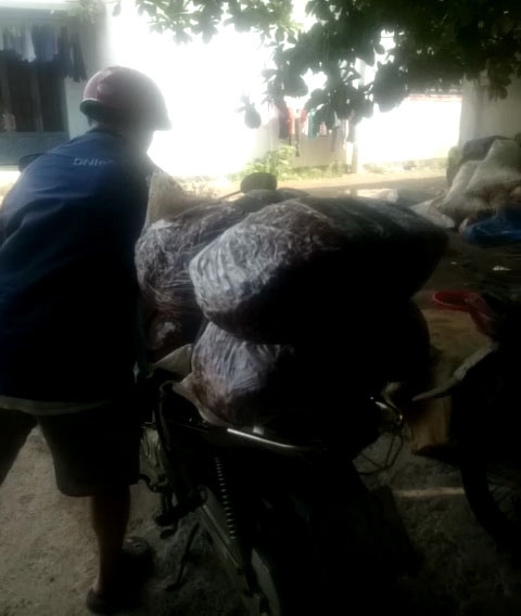 Mỗi ng&agrave;y cơ sở sơ chế me của &ocirc;ng Thuần xuất khoảng 1 tấn me ra chợ đầu mối để b&aacute;n lẻ v&agrave; bỏ mối.