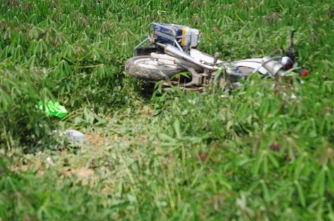 Sau đ&oacute; lao xuống ruộng.