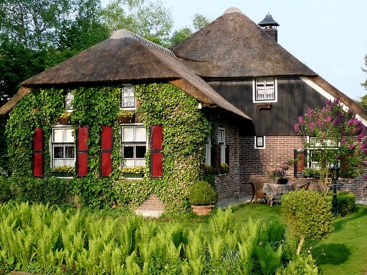 Những ng&ocirc;i nh&agrave; chủ yếu sử dụng lau sậy c&oacute; sắn trong khu vực đầm lầy để l&agrave;m m&aacute;i nh&agrave;