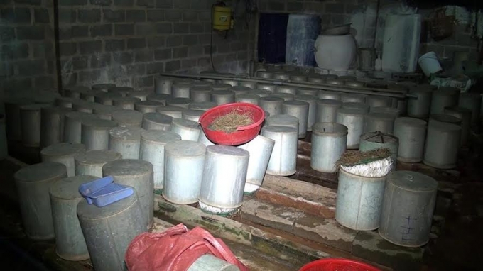 Sản xuất gi&aacute; với quy m&ocirc; lớn bằng