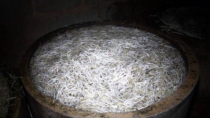 C&aacute;c vựa gi&aacute; m&agrave;u trắng đẹp... nhưng &iacute;t ai biết n&oacute; bị ng&acirc;m kh&aacute; nhiều h&oacute;a chất.