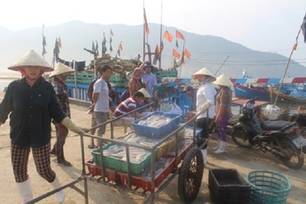 Sau khi c&oacute; kết quả quan trắc, x&eacute;t nghiệm cụ thể của c&aacute;c cơ quan chức năng, c&aacute;c cảng c&aacute; tr&ecirc;n địa b&agrave;n H&agrave; Tĩnh nhộn nhịp trở lại, người d&acirc;n y&ecirc;n t&acirc;m b&aacute;m biển.