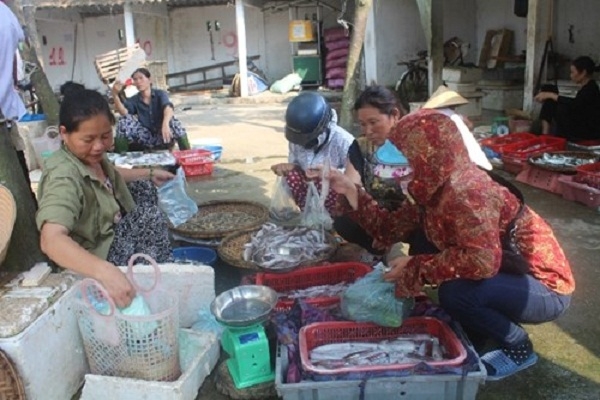 H&agrave; Tĩnh: Đồng loạt khai trương điểm kinh doanh hải sản an to&agrave;n
