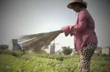 Đừng “xiên que” người nông dân