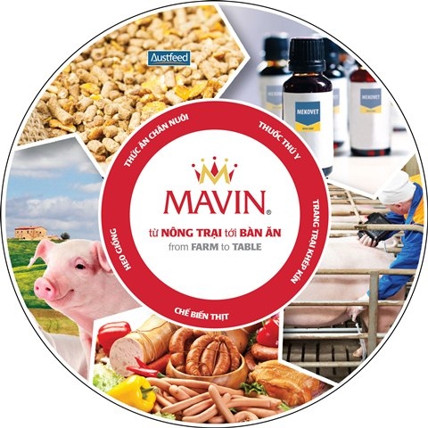Chuỗi m&ocirc; h&igrave;nh kh&eacute;p k&iacute;n của Mavin