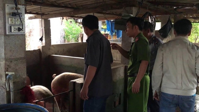 Đo&agrave;n kiểm tra đ&atilde; lập bi&ecirc;n bản cơ sở mổ heo.