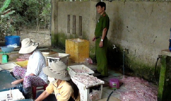 Lực lượng chức năng kiểm tra cơ sở vi phạm. Ảnh: VGP/Mai Vy.